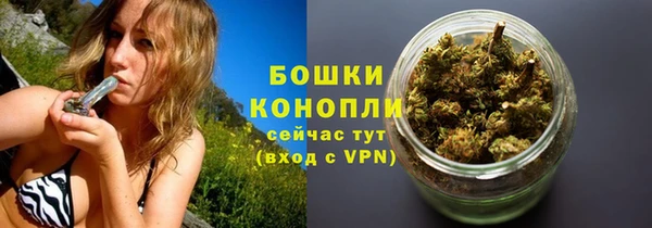 мдпв Магас