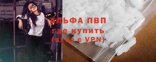 мдпв Магас