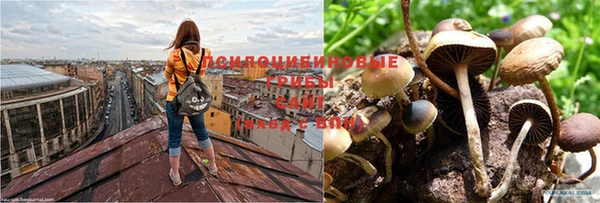 метадон Мегион