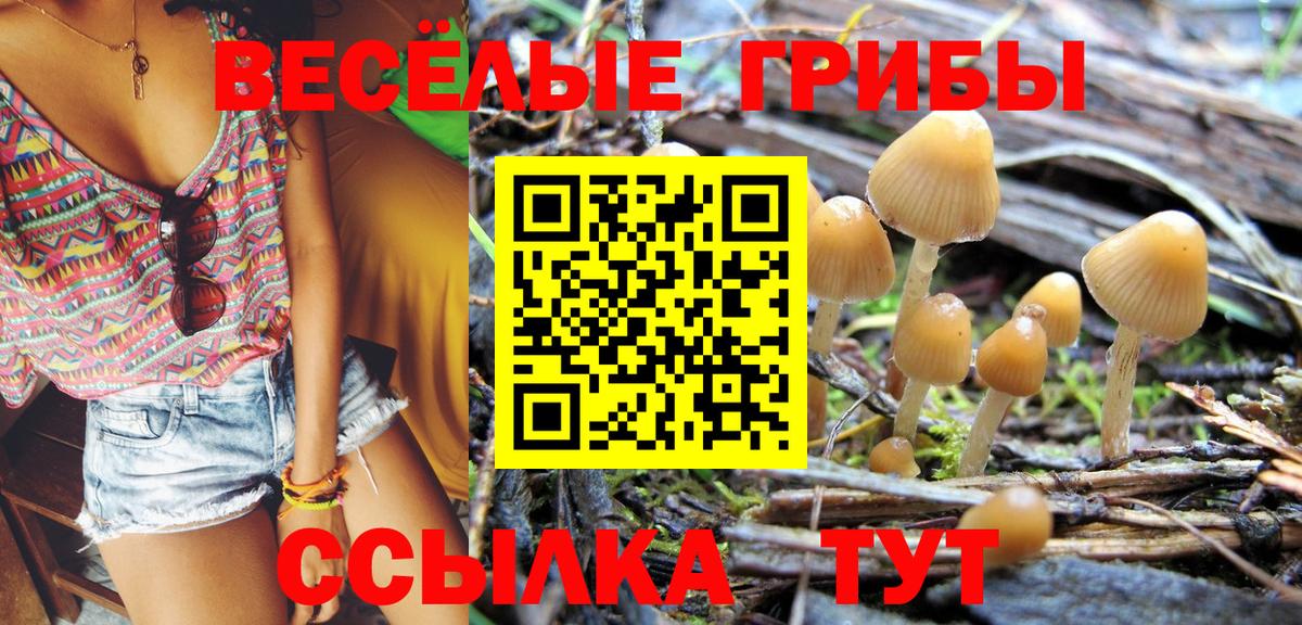 Галлюциногенные грибы мицелий  наркота  Ипатово  Вход с VPN 